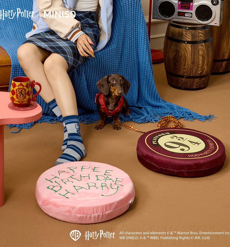 Harry Potter | MINISO